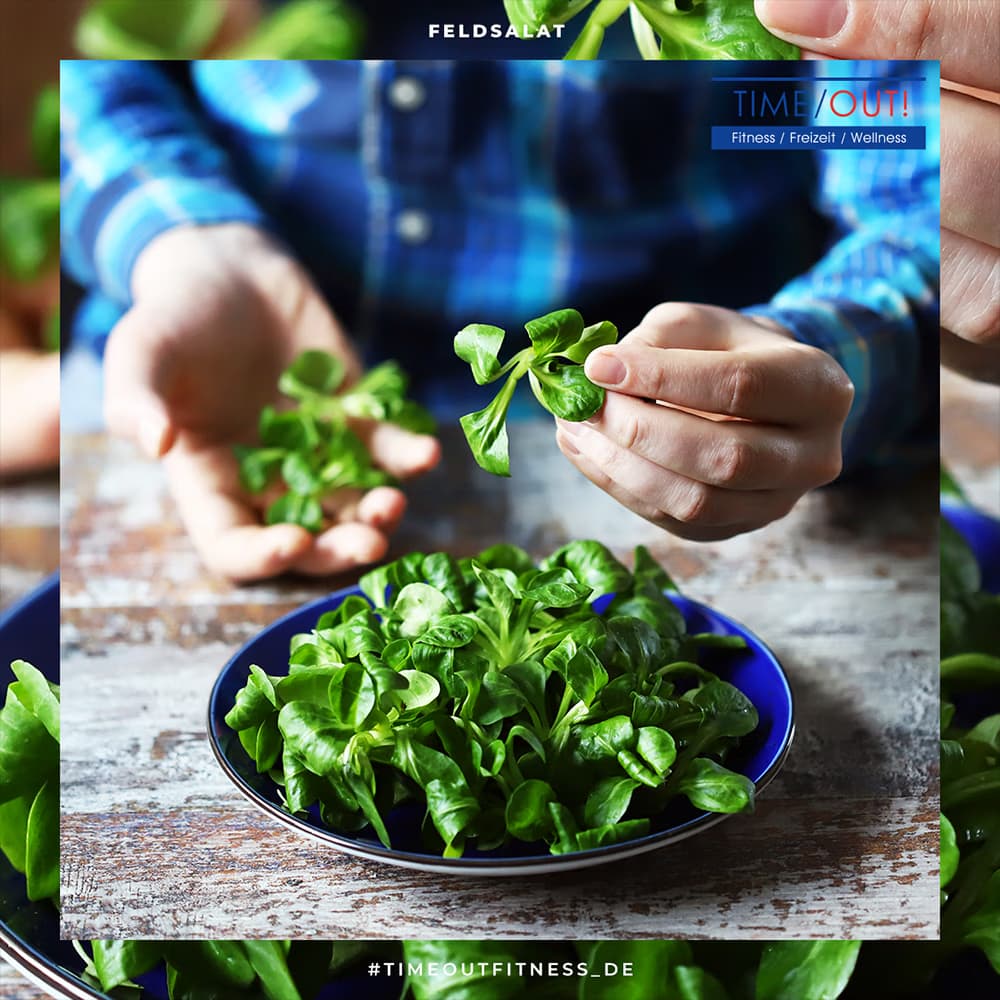 Feldsalat – der Supersalat