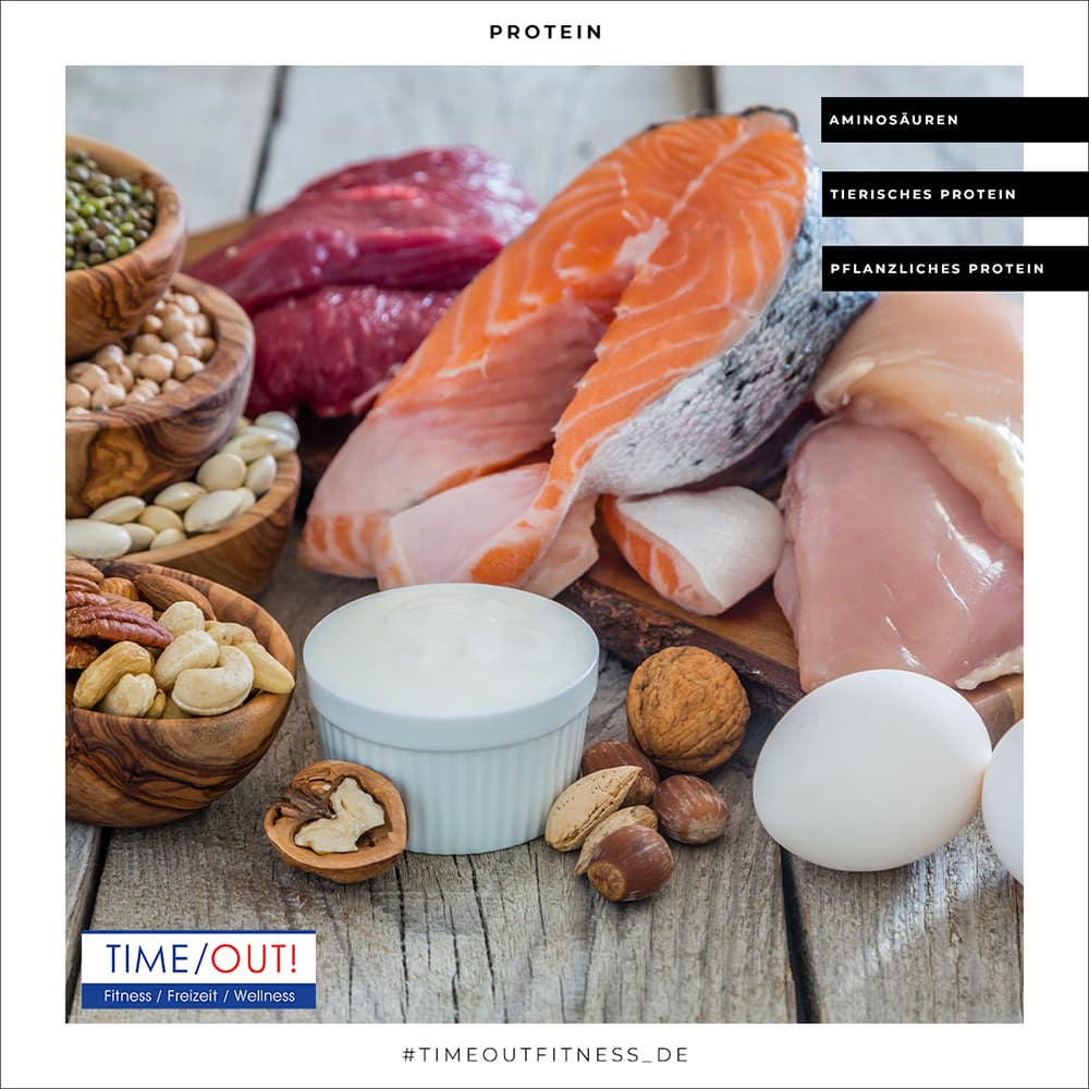 Was ist eigentlich Eiweiß?