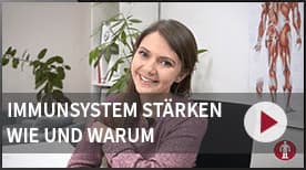 Die Skelettmuskulatur und das Immunsystem