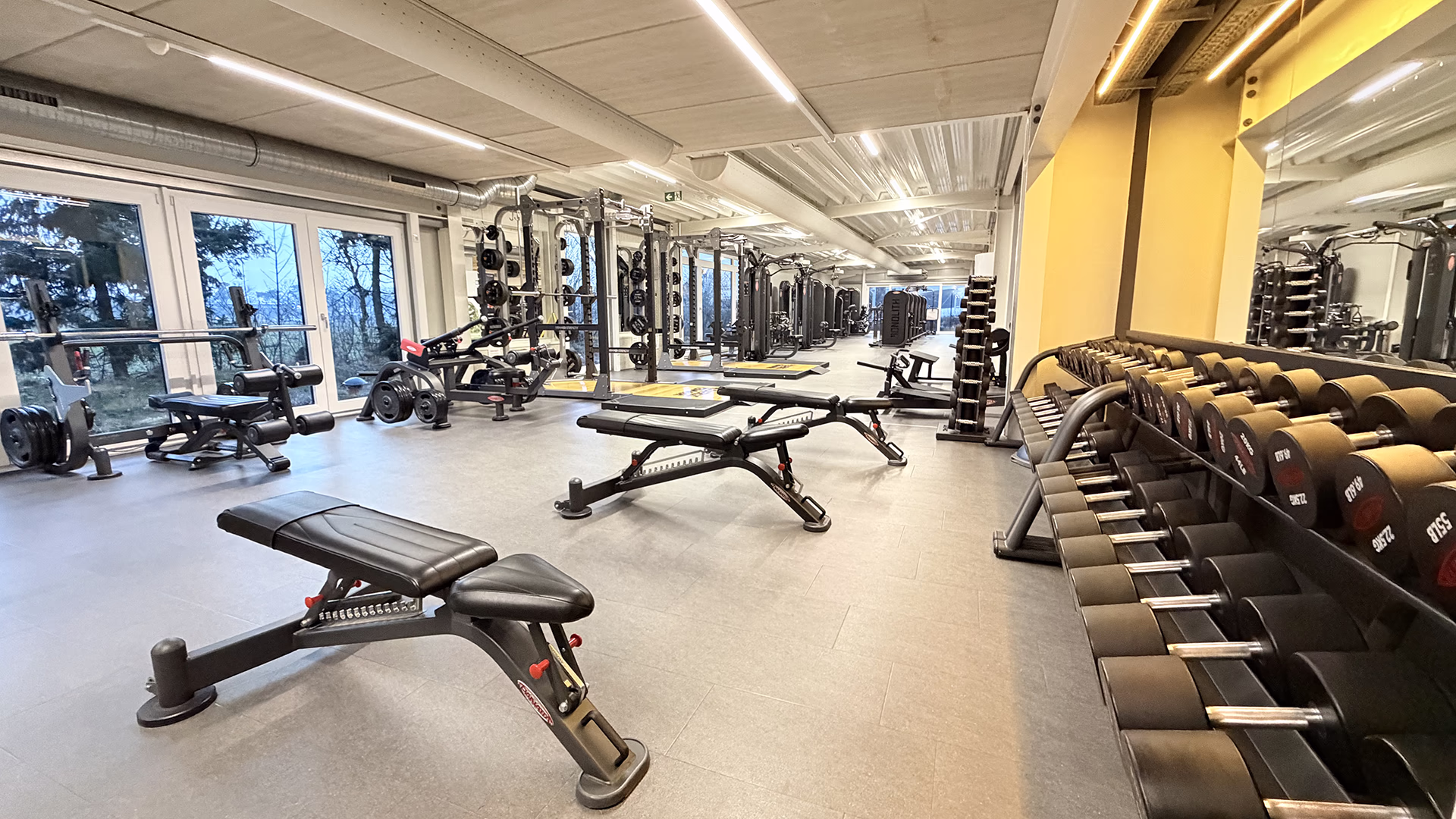 Panatta Hantelbereich im TIME/OUT